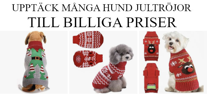 Handla hund jultröjor på nätet