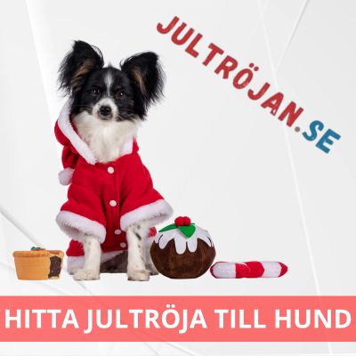 Jultröja hund